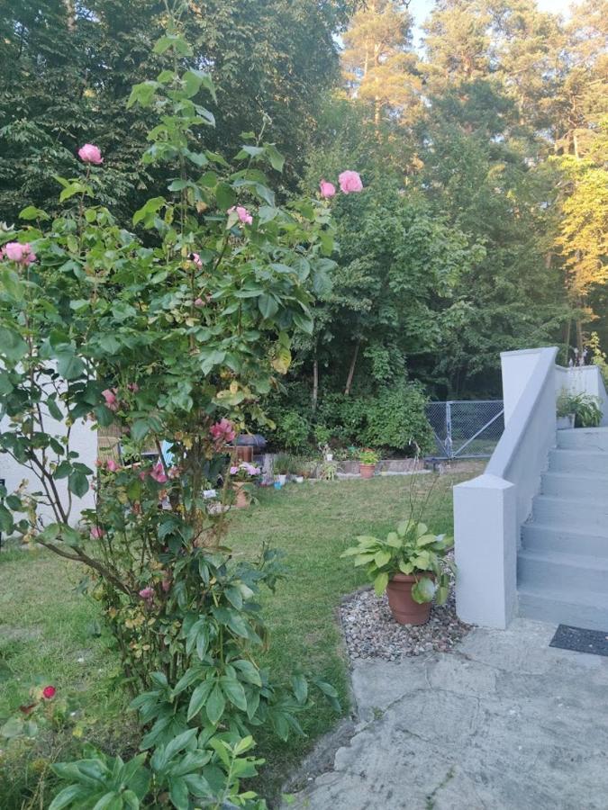 Apartament W Sasiedztwie Lasu 1800M Od Morza Sopot Dış mekan fotoğraf